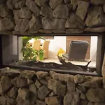 Feriehus Cozy Garden W Fireplace Bemelen