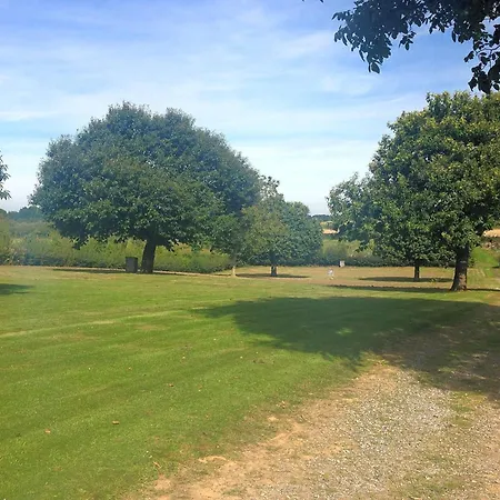Cozy Garden W Fireplace Vakantiehuis